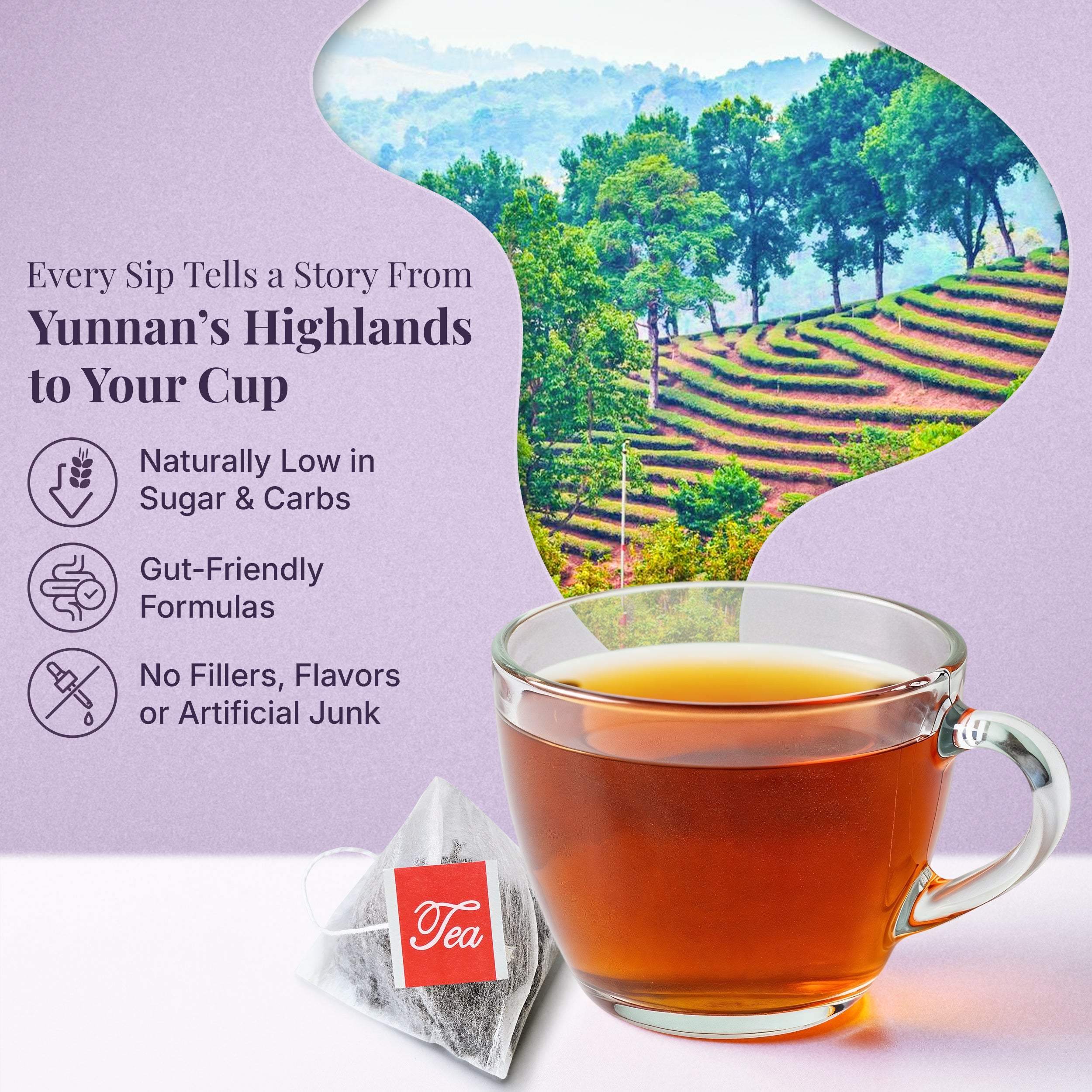 Organic Honey Scented Oolong Tea Bags