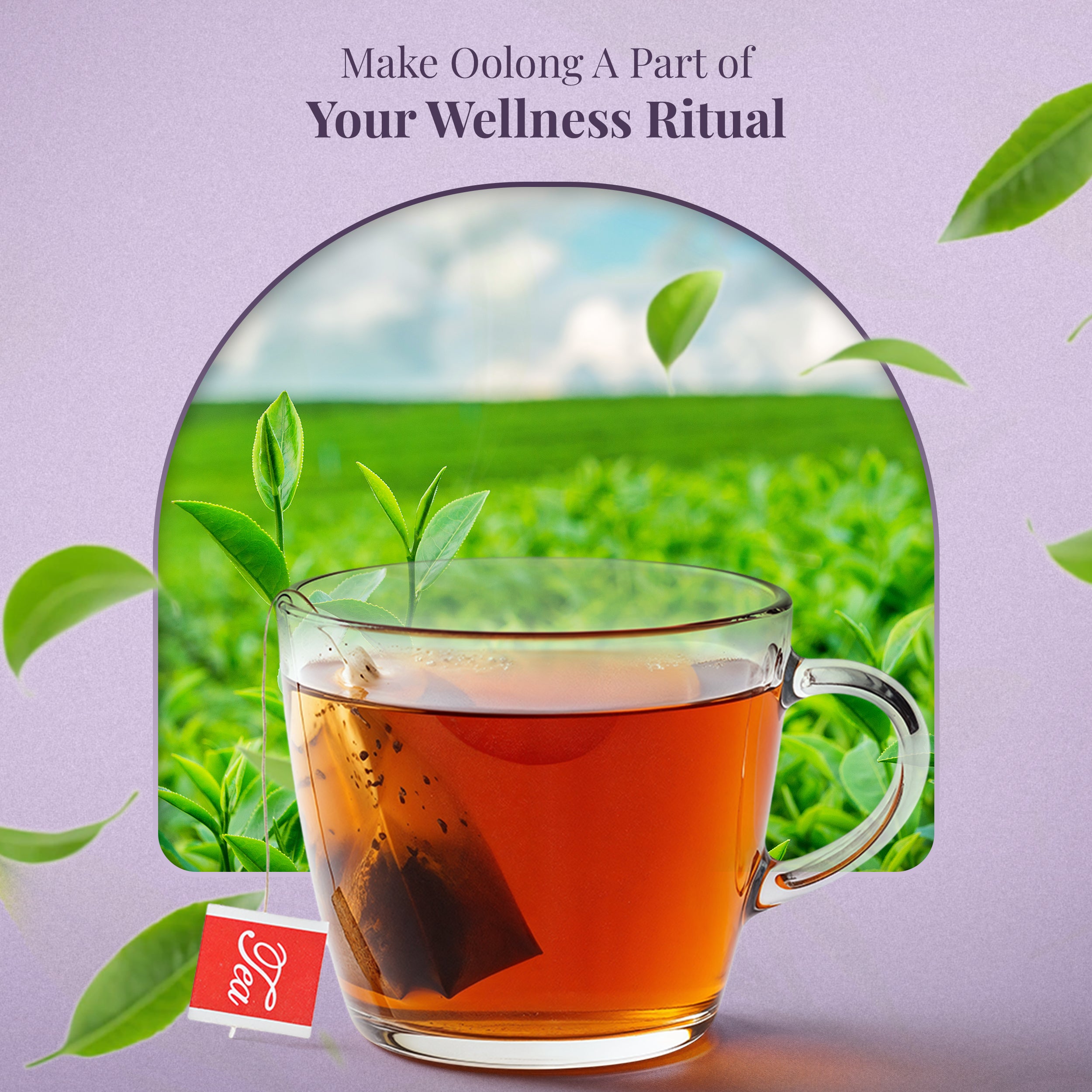 Organic Honey Scented Oolong Tea Bags